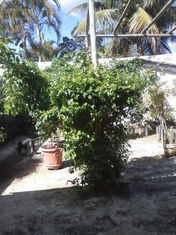 Casa, 3 quartos, 226 m² - Foto 20