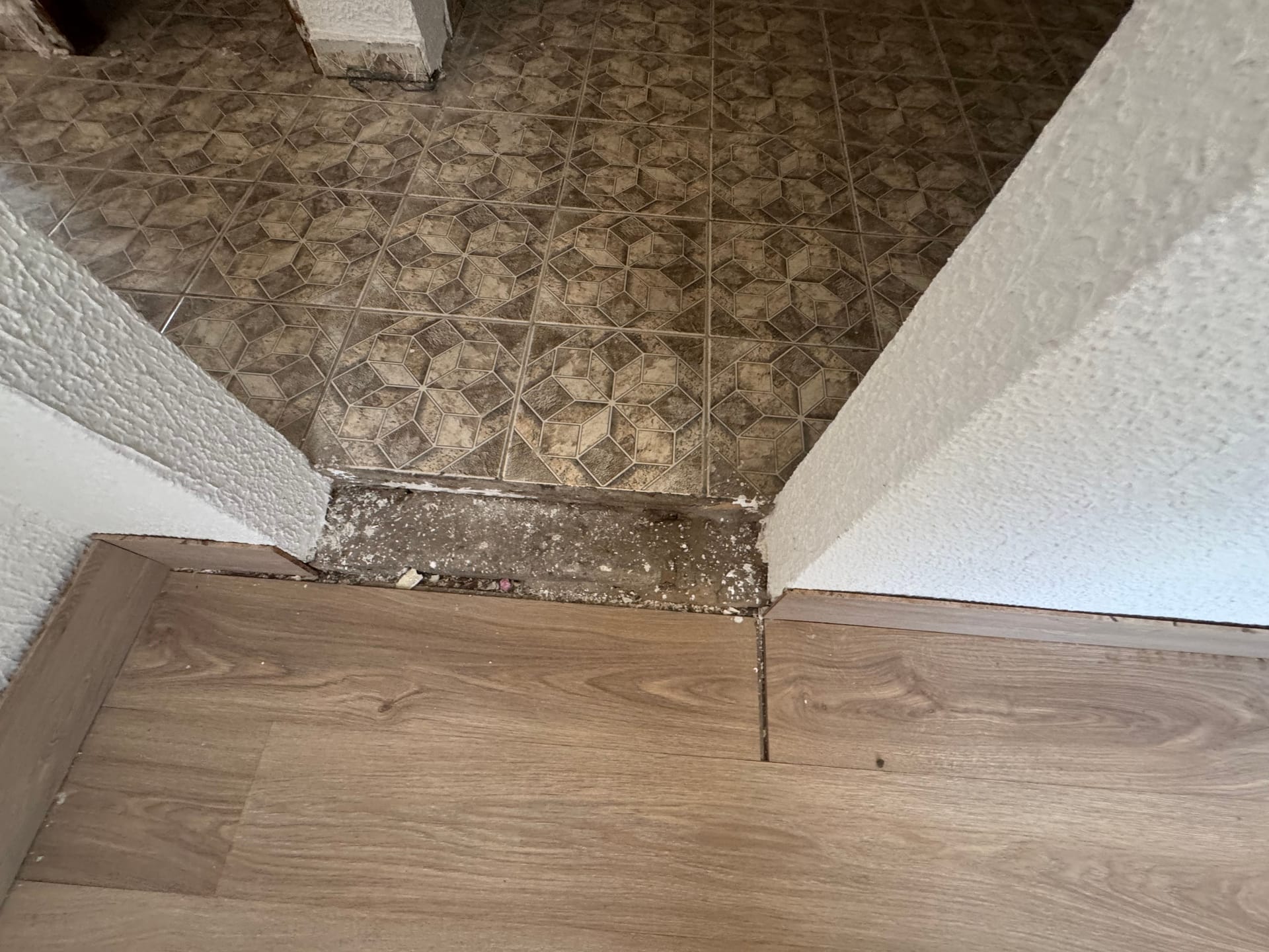 Casa, 3 quartos, 310 m² - Foto 6