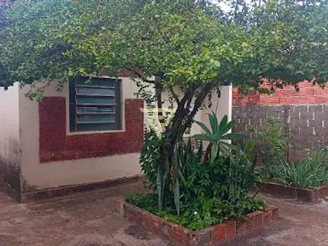 Casa com 200m² 2 quartos e 1 banheiro, à venda, no bairro Adelino Simioni em Ribeirão Preto