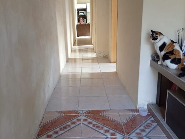 Casa com 200m² 3 quartos e 2 banheiros, à venda, no bairro Laranjal em Pelotas