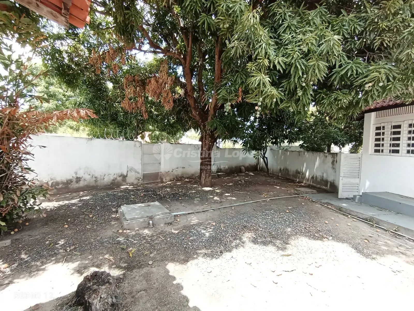 Casa, 4 quartos, 650 m² - Foto 4