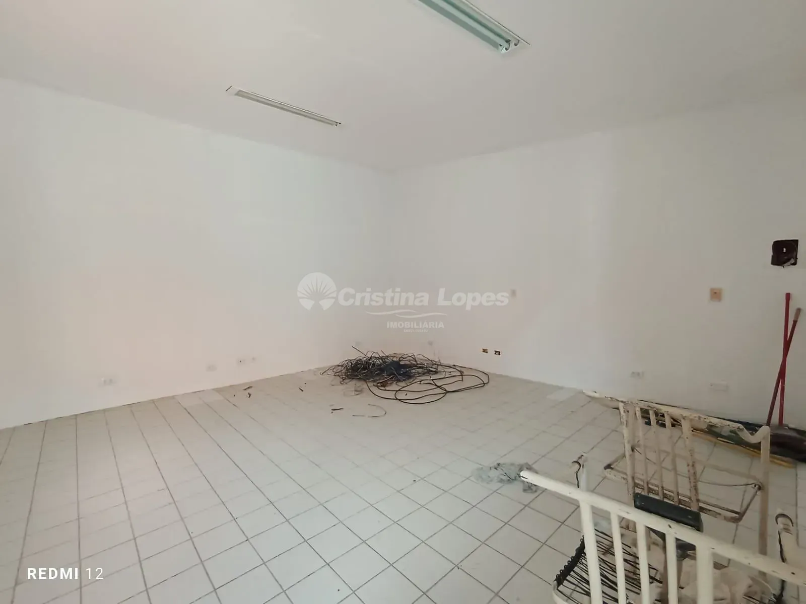 Casa, 4 quartos, 650 m² - Foto 5