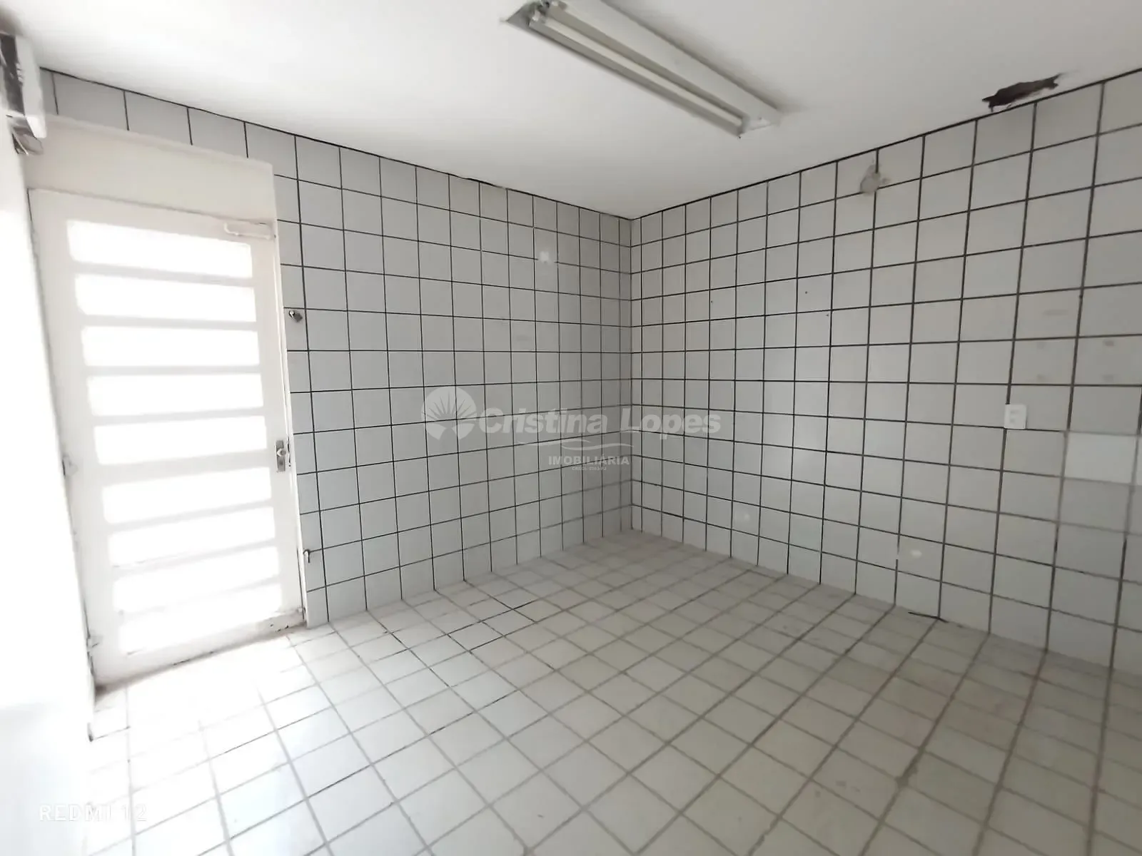 Casa, 4 quartos, 650 m² - Foto 6