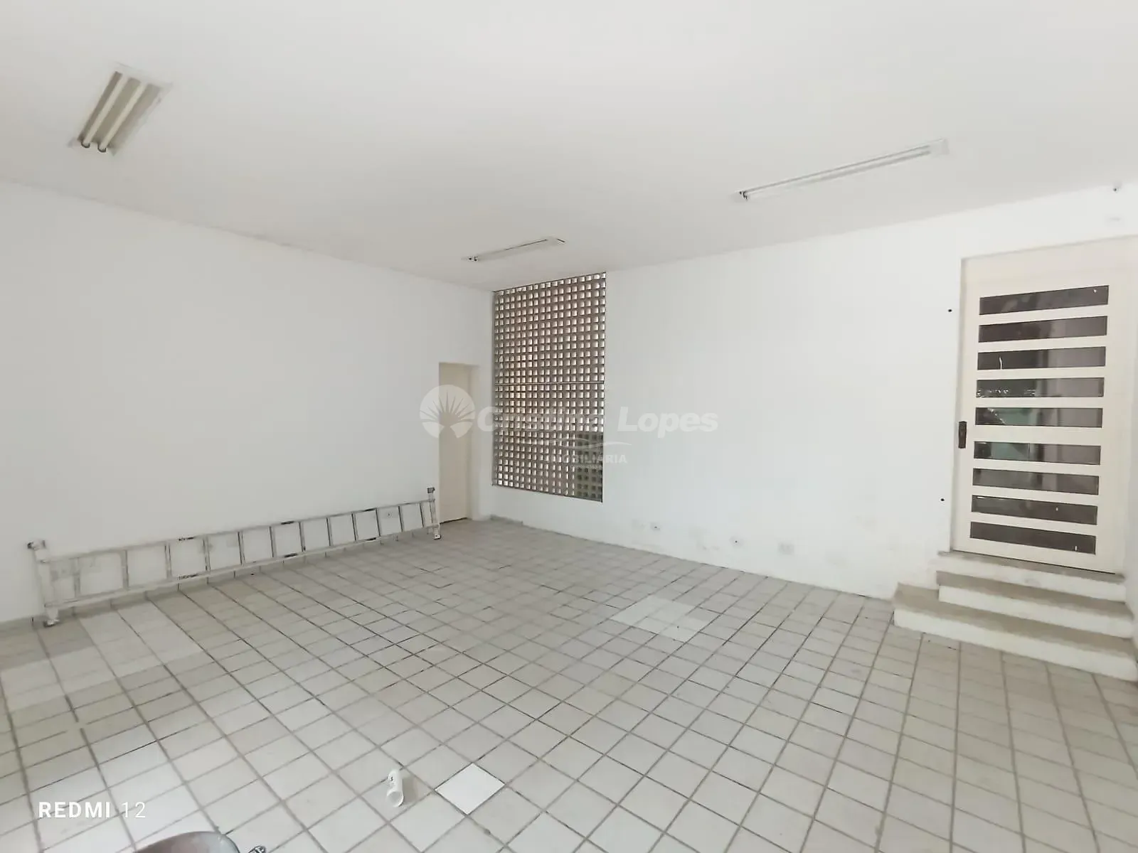 Casa, 4 quartos, 650 m² - Foto 10