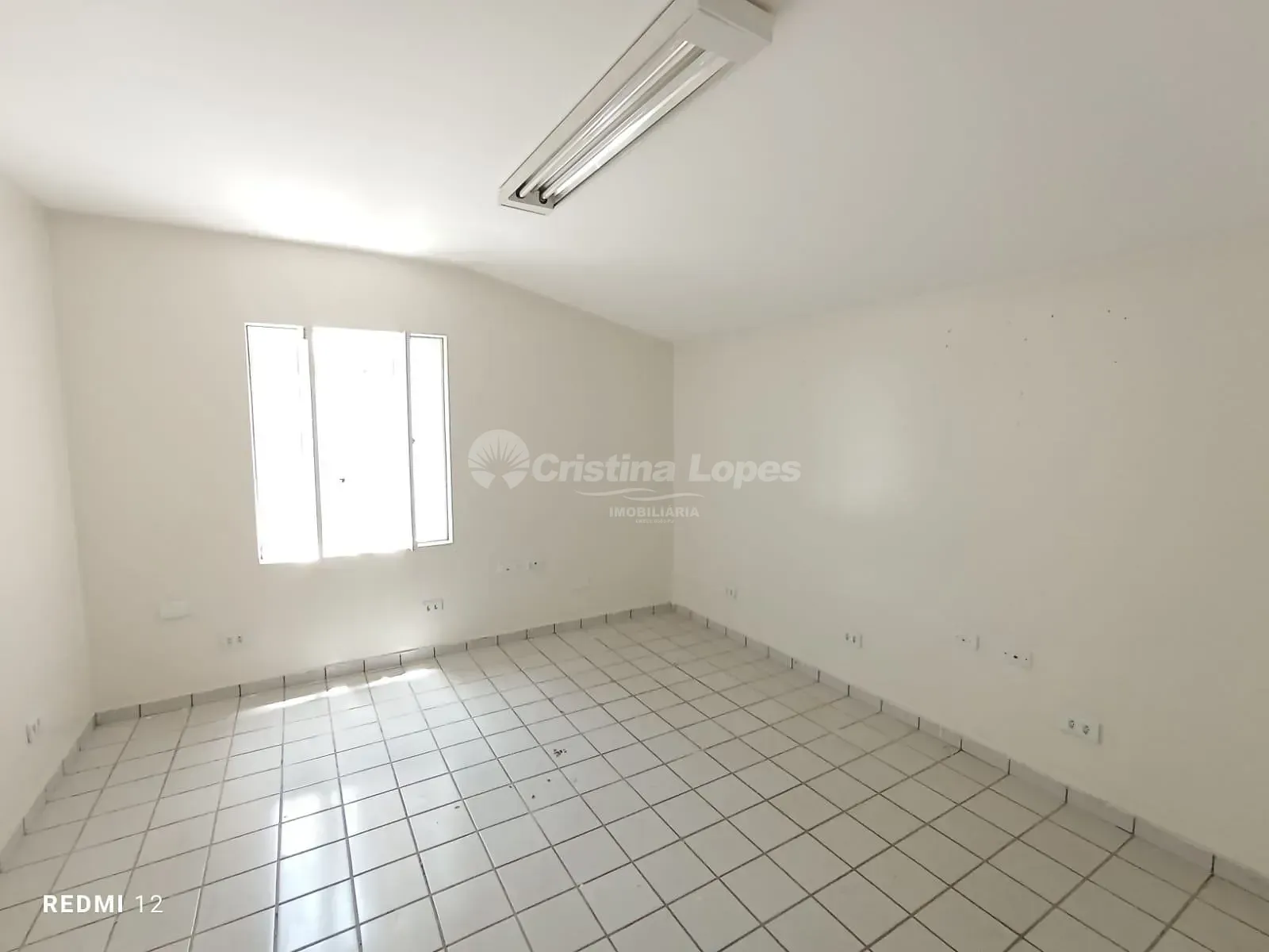 Casa, 4 quartos, 650 m² - Foto 12