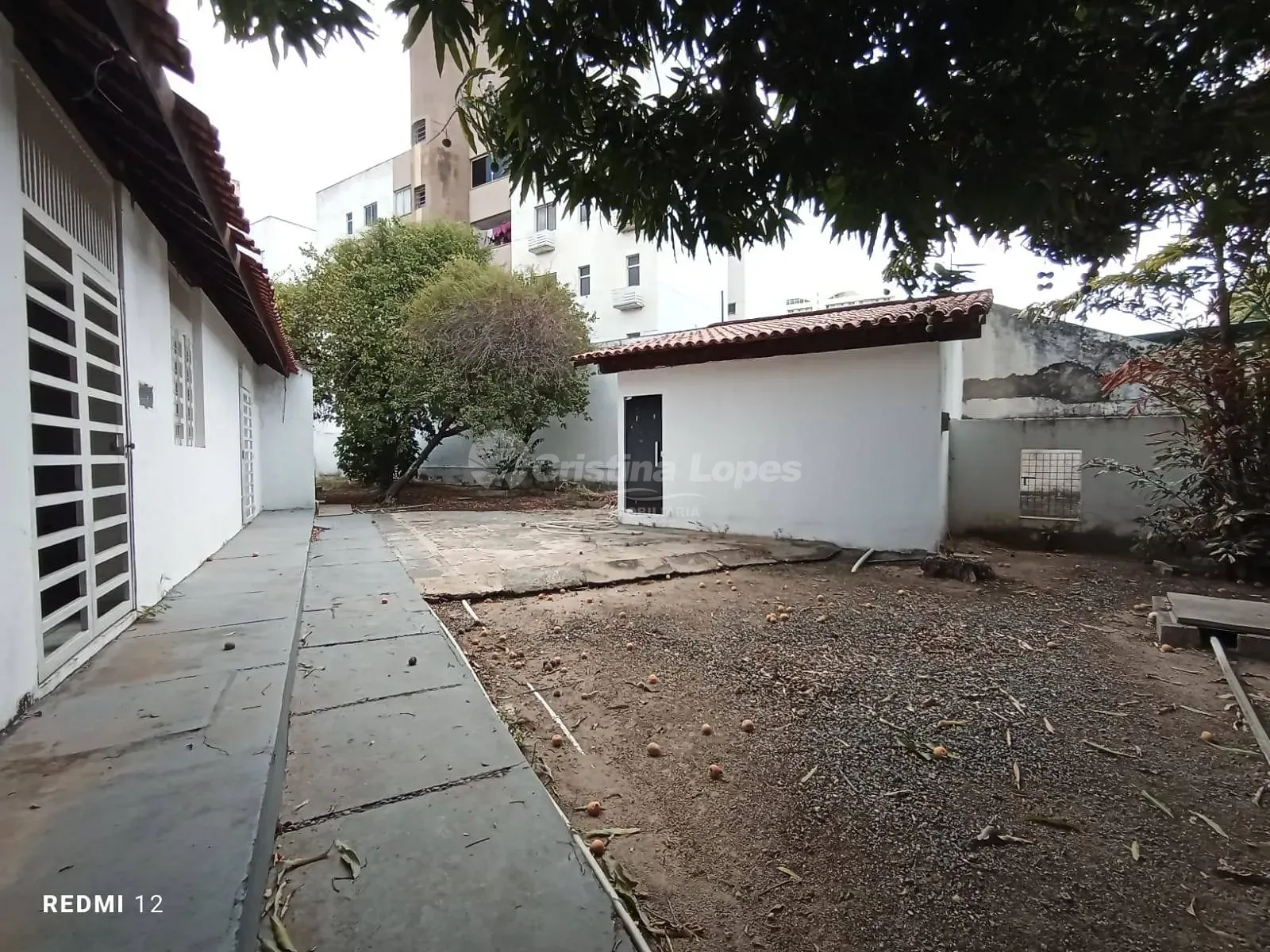 Casa, 4 quartos, 650 m² - Foto 17