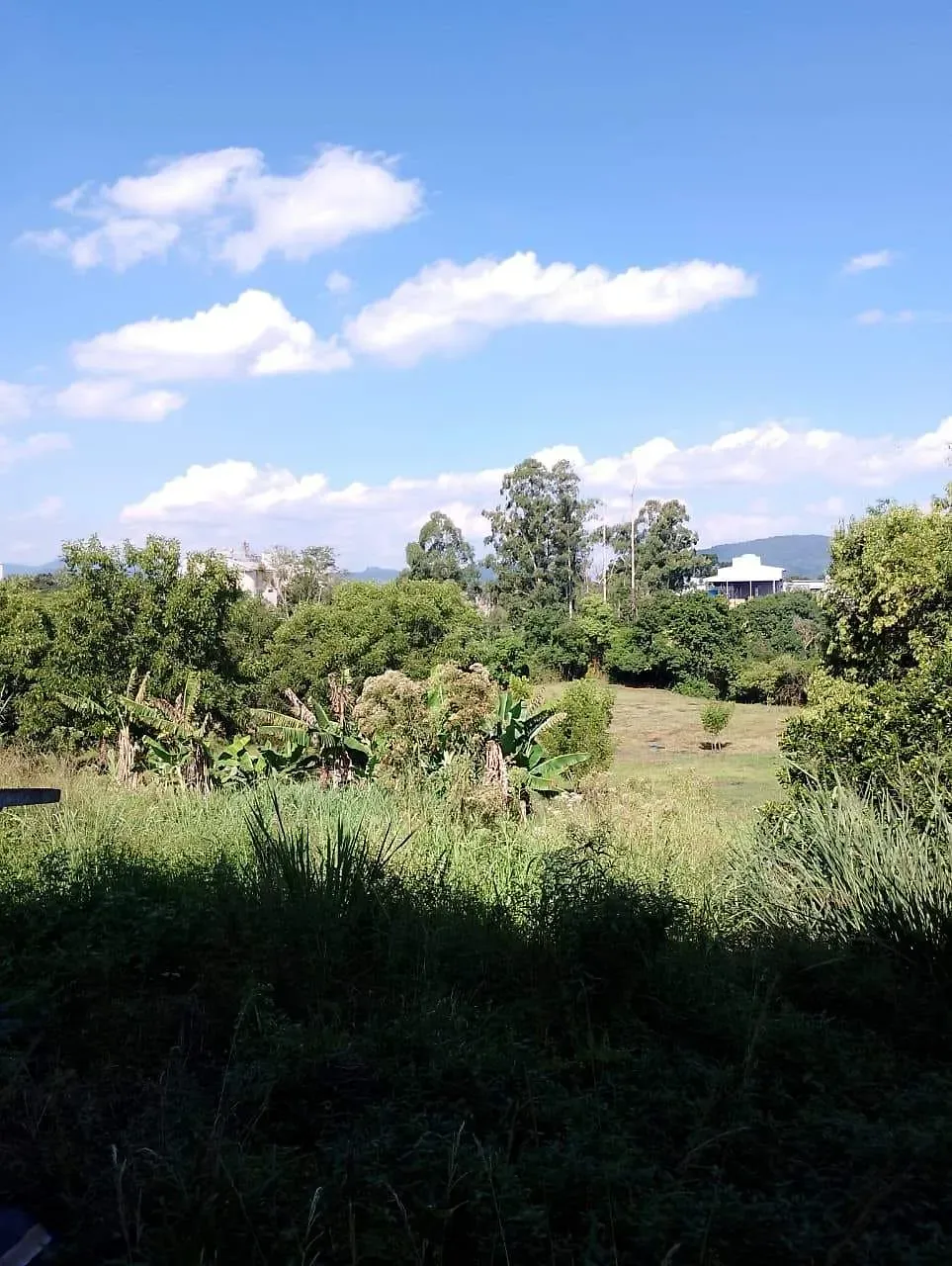 Casa, 1 quarto, 100 m² - Foto 4