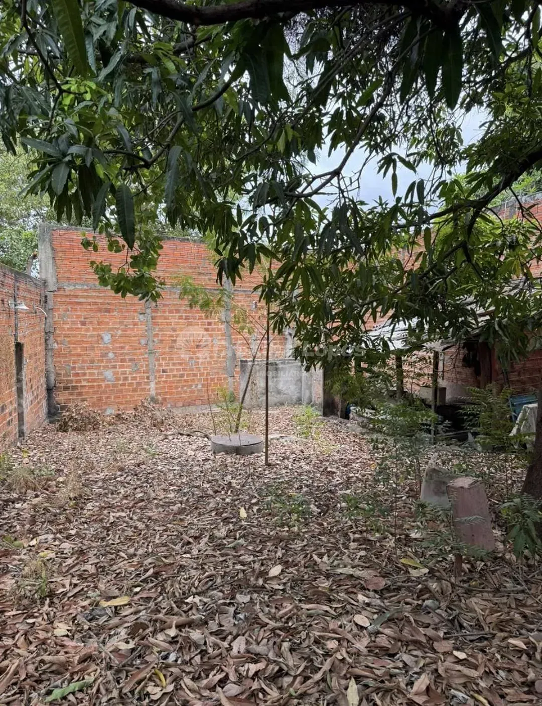 Casa, 2 quartos, 52 m² - Foto 4
