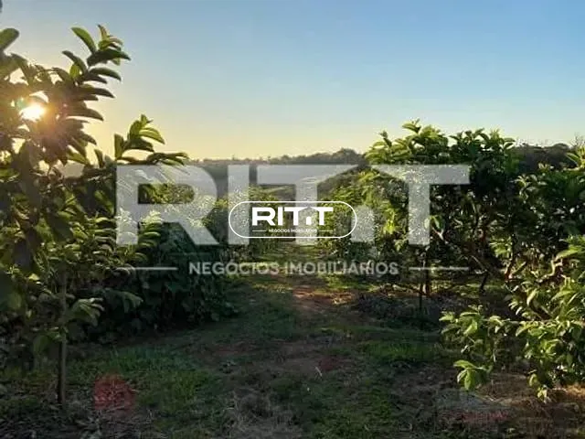 Casa com 26455m² 2 quartos e 1 banheiro, à venda, no bairro Reforma Agrária em Valinhos