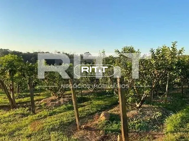 Casa com 26455m² 2 quartos e 1 banheiro, à venda, no bairro Reforma Agrária em Valinhos