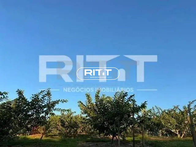 Casa com 26455m² 2 quartos e 1 banheiro, à venda, no bairro Reforma Agrária em Valinhos