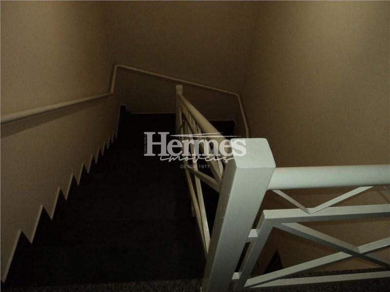 Casa, 5 quartos, 120 m² - Foto 26