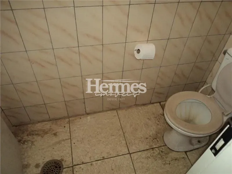 Casa, 5 quartos, 120 m² - Foto 7