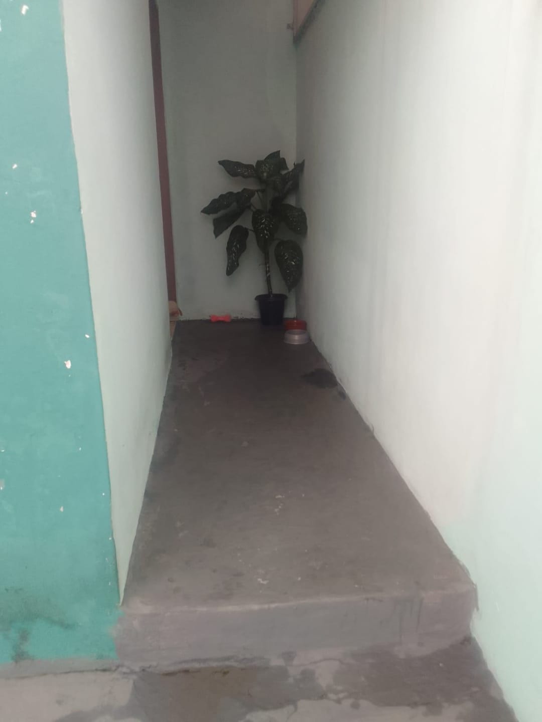 Casa, 2 quartos, 125 m² - Foto 3