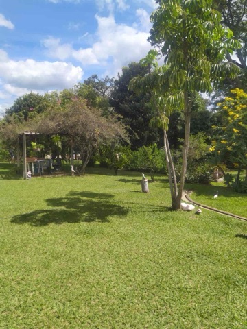 Casa com 5022m² 2 quartos e 1 banheiro, à venda, no bairro Condomínio Nossa Fazenda em Esmeraldas