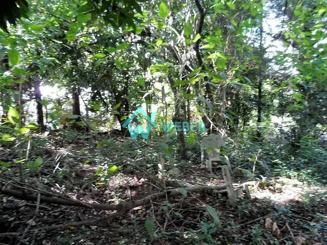 Casa com 1114m² 4 quartos e 2 banheiros, à venda, no bairro Centro em Novo Hamburgo