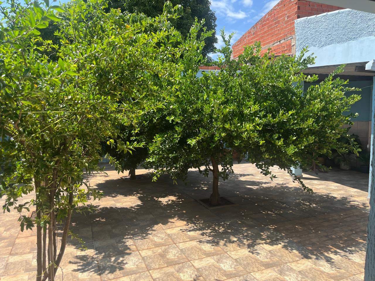 Casa, 2 quartos, 150 m² - Foto 12