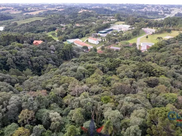 Casa à venda, no bairro Rondinha em Campo Largo