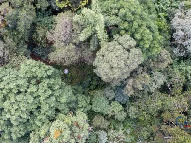 Casa à venda, no bairro Rondinha em Campo Largo