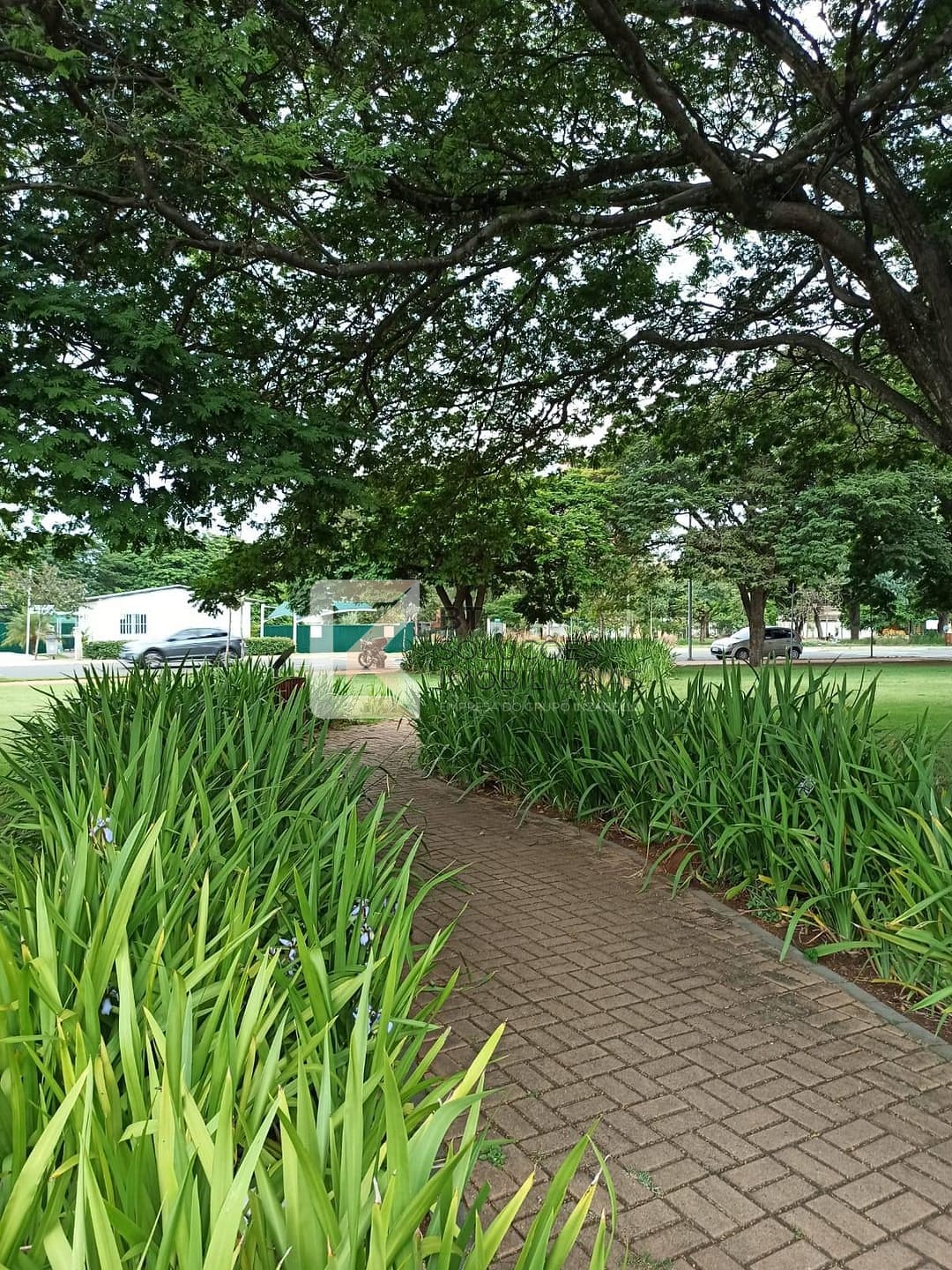 Casa, 3 quartos, 122 m² - Foto 24