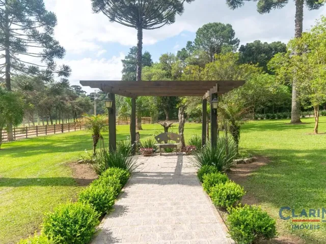 Casa 4 quartos e 2 banheiros, à venda, no bairro SALGADINHO em Campo Largo