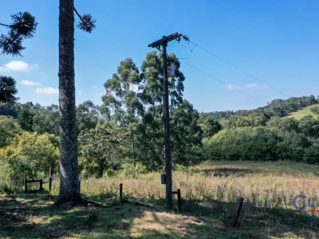 Casa 2 quartos e 1 banheiro, à venda, no bairro SÃO LUIZ DO PURUNÃ em Campo Largo