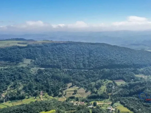 Casa 2 quartos e 1 banheiro, à venda, no bairro SÃO LUIZ DO PURUNÃ em Campo Largo