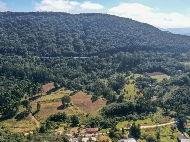 Casa 2 quartos e 1 banheiro, à venda, no bairro SÃO LUIZ DO PURUNÃ em Campo Largo