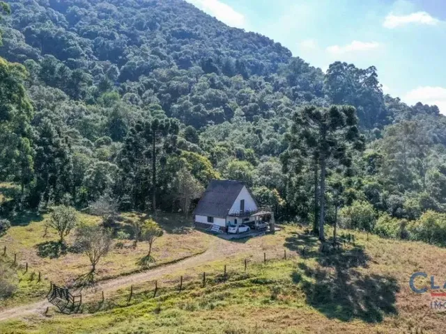 Casa 2 quartos e 1 banheiro, à venda, no bairro SÃO LUIZ DO PURUNÃ em Campo Largo