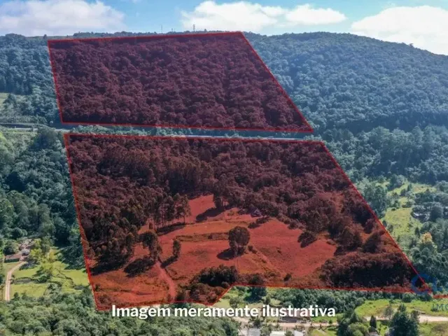 Casa 2 quartos e 1 banheiro, à venda, no bairro SÃO LUIZ DO PURUNÃ em Campo Largo