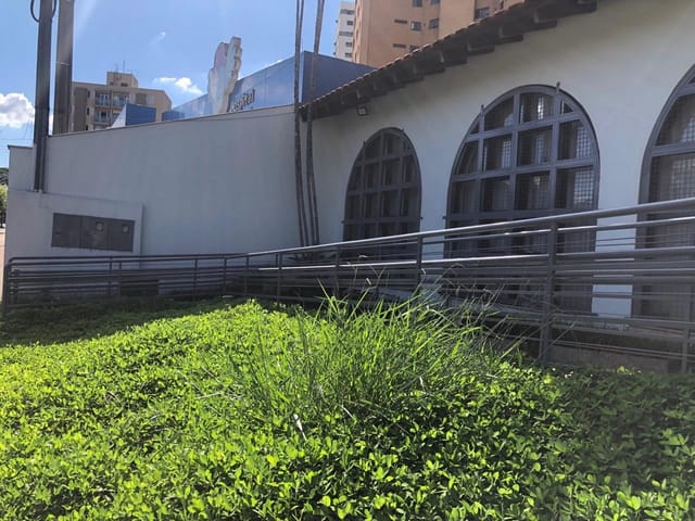 Casa para alugar, no bairro Vila Ipiranga em Londrina