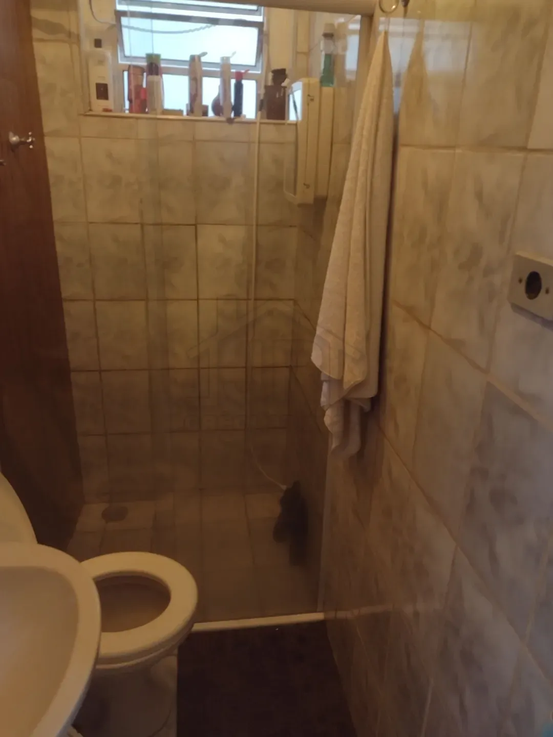 Casa, 2 quartos, 200 m² - Foto 19