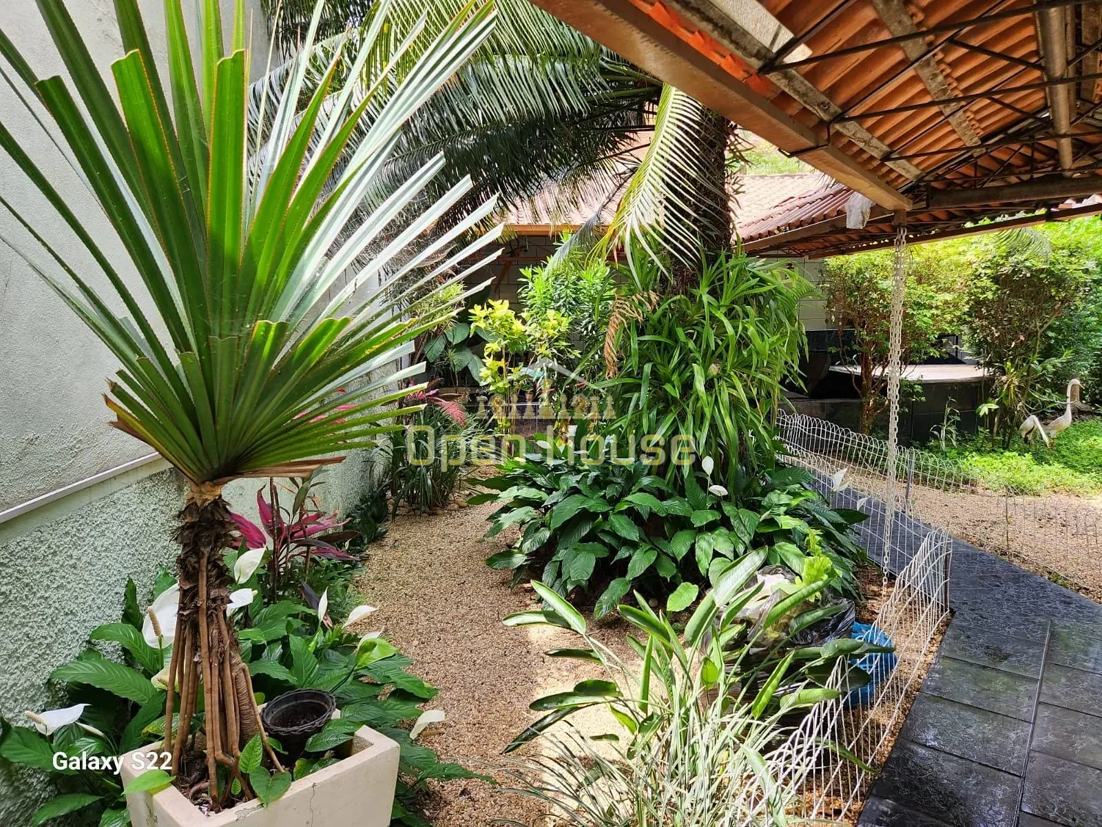 Casa, 4 quartos, 290 m² - Foto 27