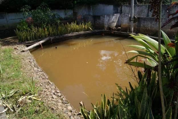 Casa com 2500m² 5 quartos e 2 banheiros, à venda, no bairro Jardim Das Palmeiras em Bom Jesus dos Perdões