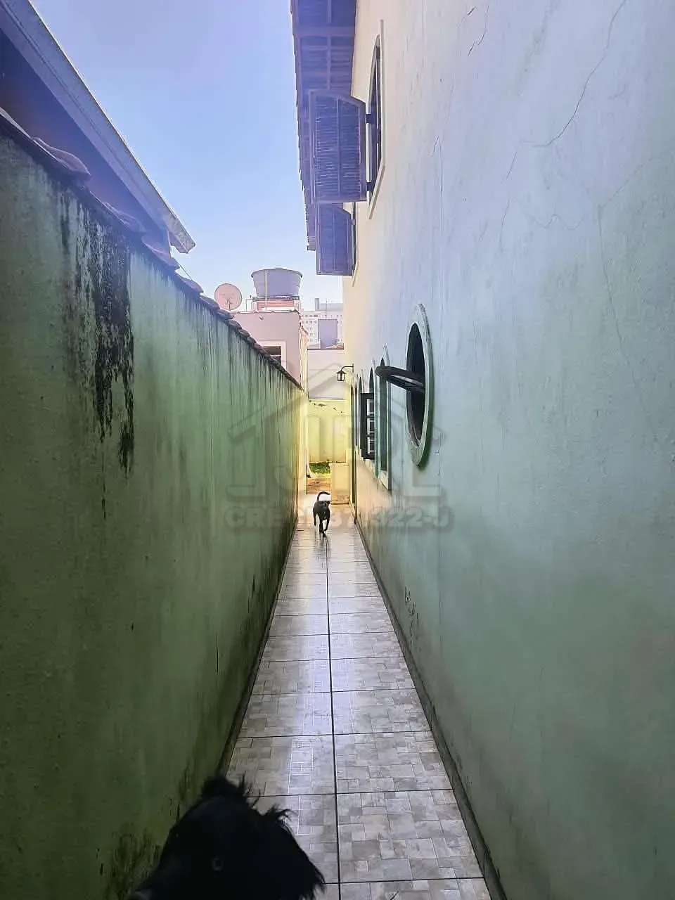Casa, 4 quartos, 155 m² - Foto 21