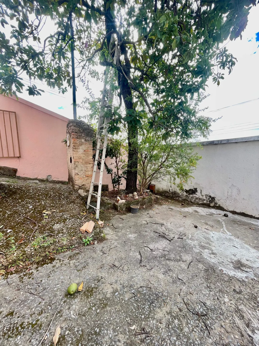 Casa, 3 quartos, 360 m² - Foto 26