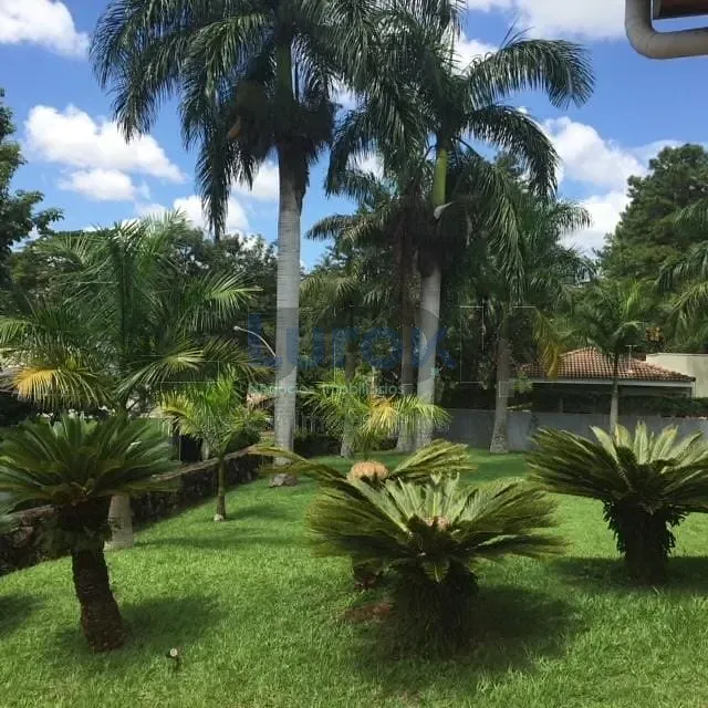 Casa, 4 quartos, 1449 m² - Foto 33