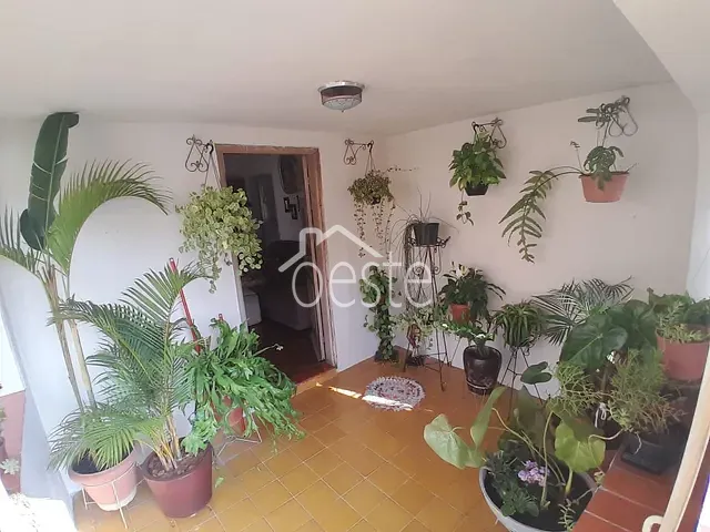 Casa com 230m² 3 quartos e 2 banheiros, à venda, no bairro Centro em Santa Bárbara D'Oeste