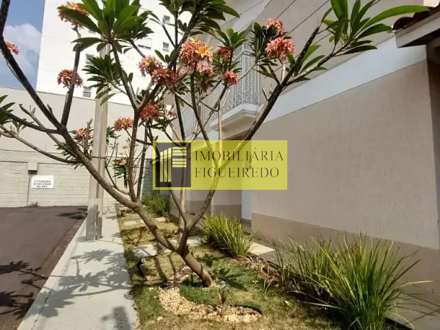 Casa com 285m² 5 quartos e 7 banheiros, à venda, no bairro Roseiral em São José do Rio Preto