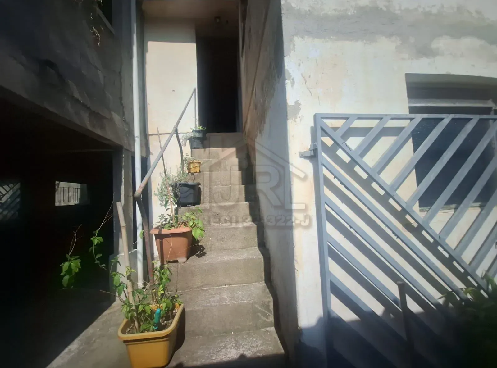 Casa, 3 quartos, 486 m² - Foto 17