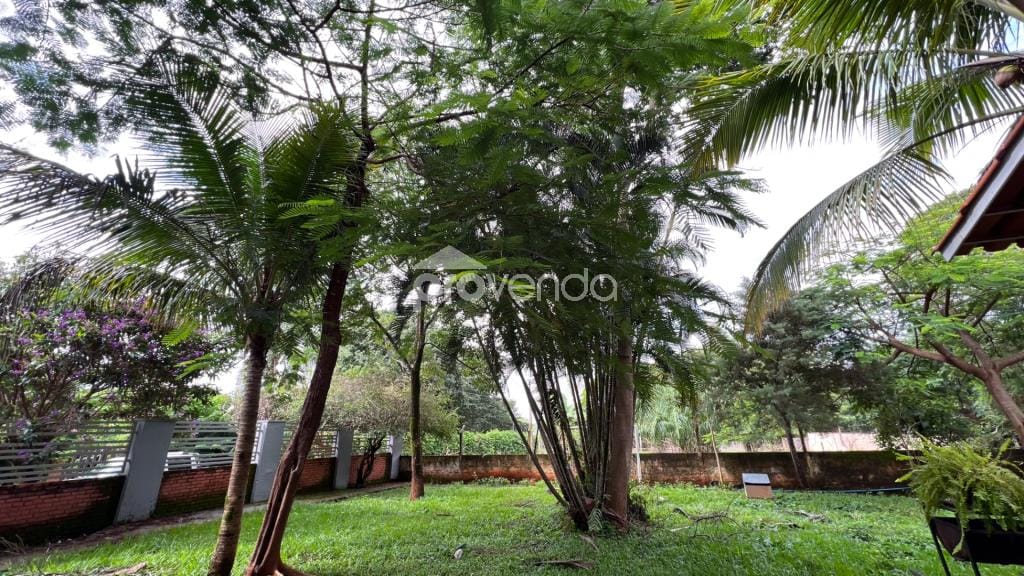 Casa, 4 quartos, 1150 m² - Foto 7