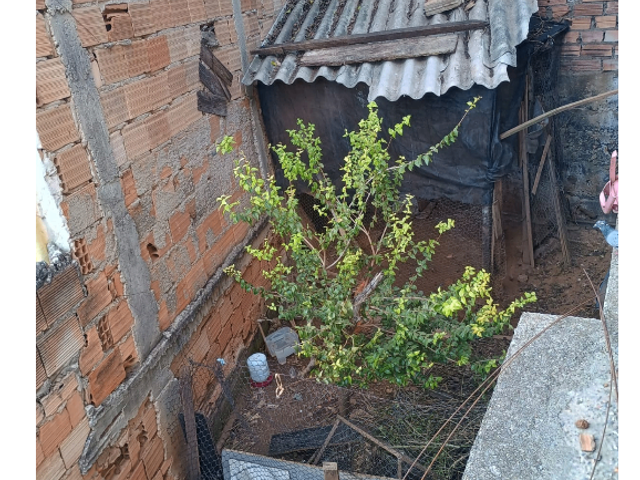 Casa com 250m² 2 quartos e 1 banheiro, à venda, no bairro Vera Cruz em Belo Horizonte