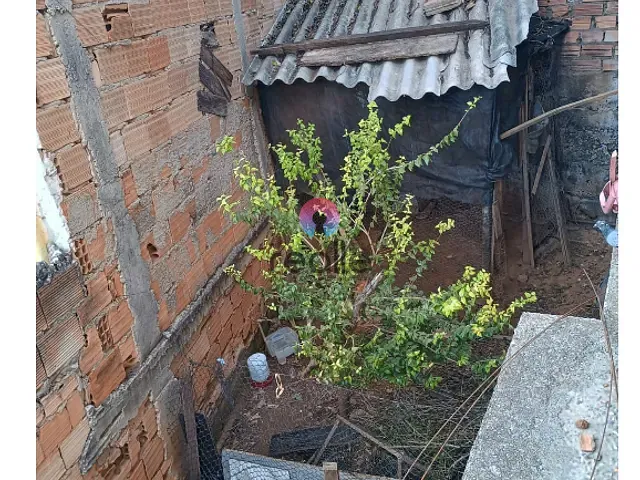 Casa com 250m² 2 quartos e 1 banheiro, à venda, no bairro Vera Cruz em Belo Horizonte