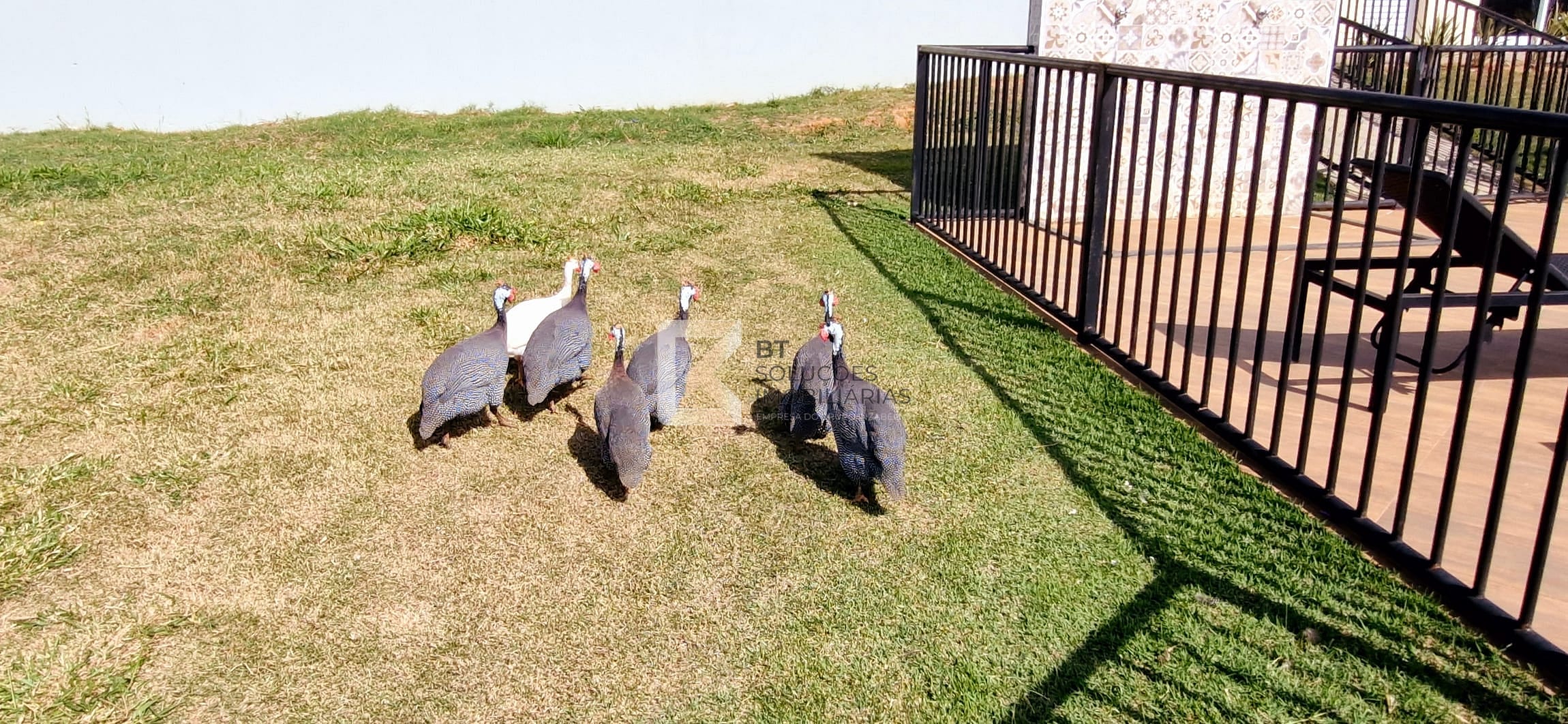 Casa, 3 quartos, 202 m² - Foto 48