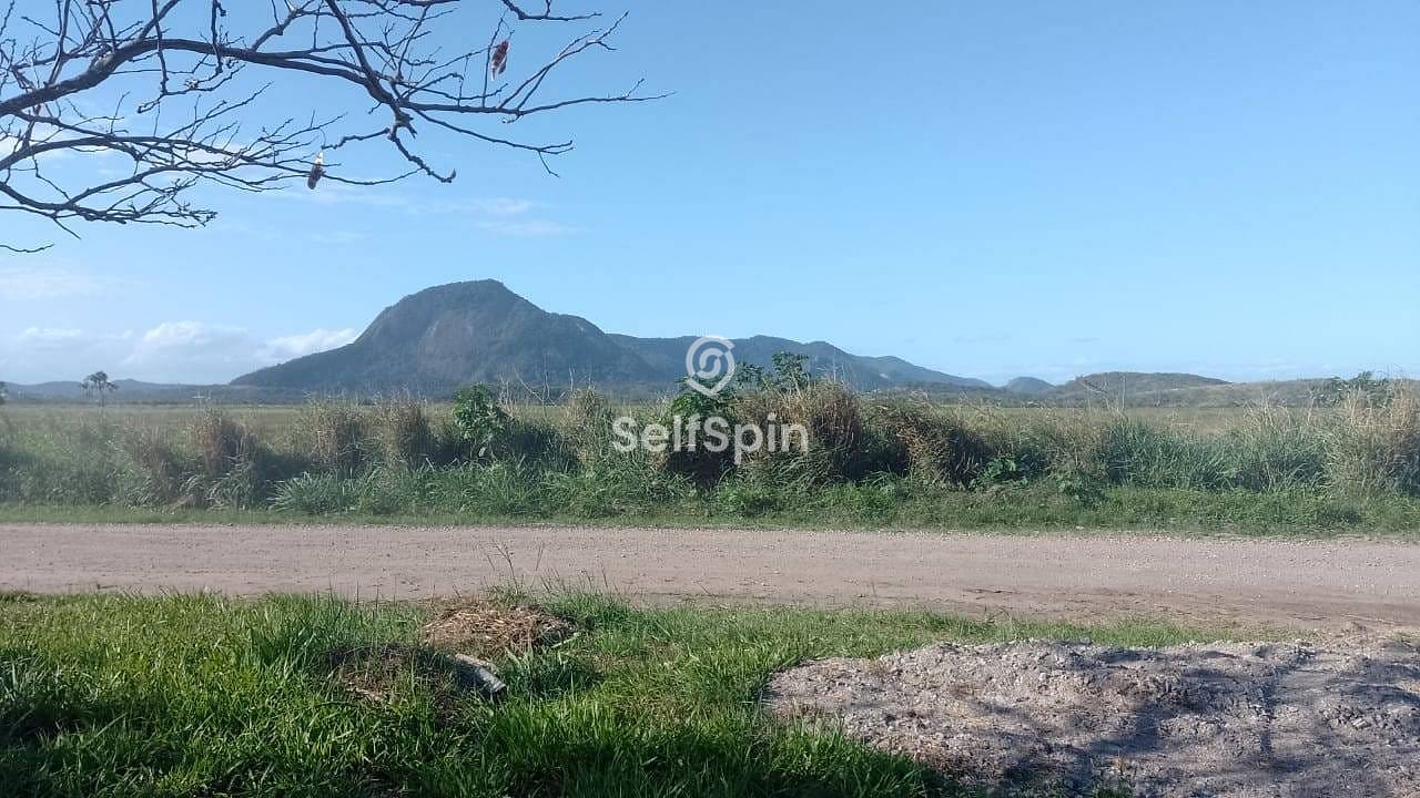 Casa, 3 quartos, 78 m² - Foto 4