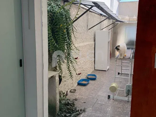 Casa com 253m² 2 quartos e 2 banheiros, à venda, no bairro Parque Mandaqui em São Paulo