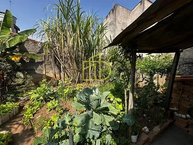Casa com 300m² 2 quartos e 1 banheiro, à venda, no bairro Vila Haro em Sorocaba