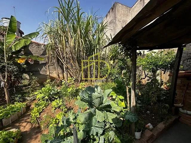 Casa com 300m² 2 quartos e 1 banheiro, à venda, no bairro Vila Haro em Sorocaba