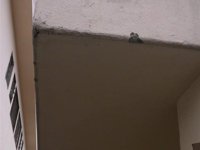 Foto do Casa - Casa residencial para locação, Chácara Belenzinho, São Paulo. | ZONA LESTE IMÓVEIS
