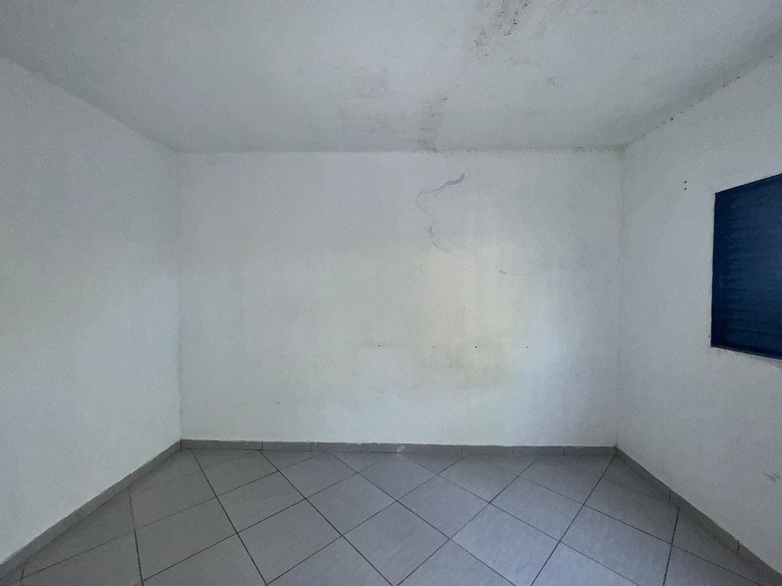 Casa, 3 quartos, 500 m² - Foto 19